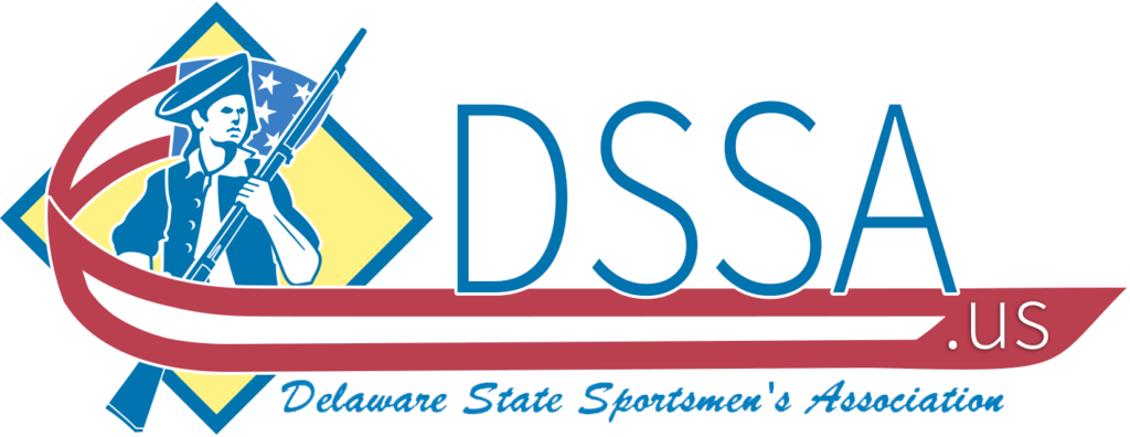 DSSA_Final_Transparent_Name_Header_edit